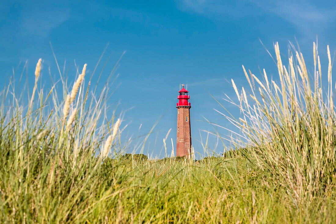 Lighthouse, Fluegge, Fehmarn island, Baltic coast, Schleswig-Holstein, Germany