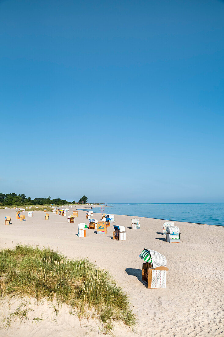 Beach and beach baskets, Heiligenhafen, Baltic coast, Schleswig-Holstein, Germany