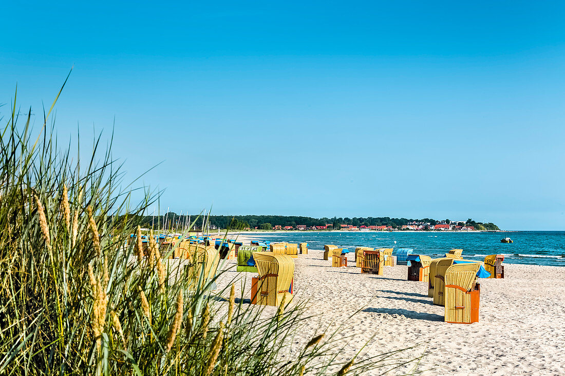 Beach and beach chairs, Sehlendorf, Hohwacht, Baltic coast, Schleswig-Holstein, Germany