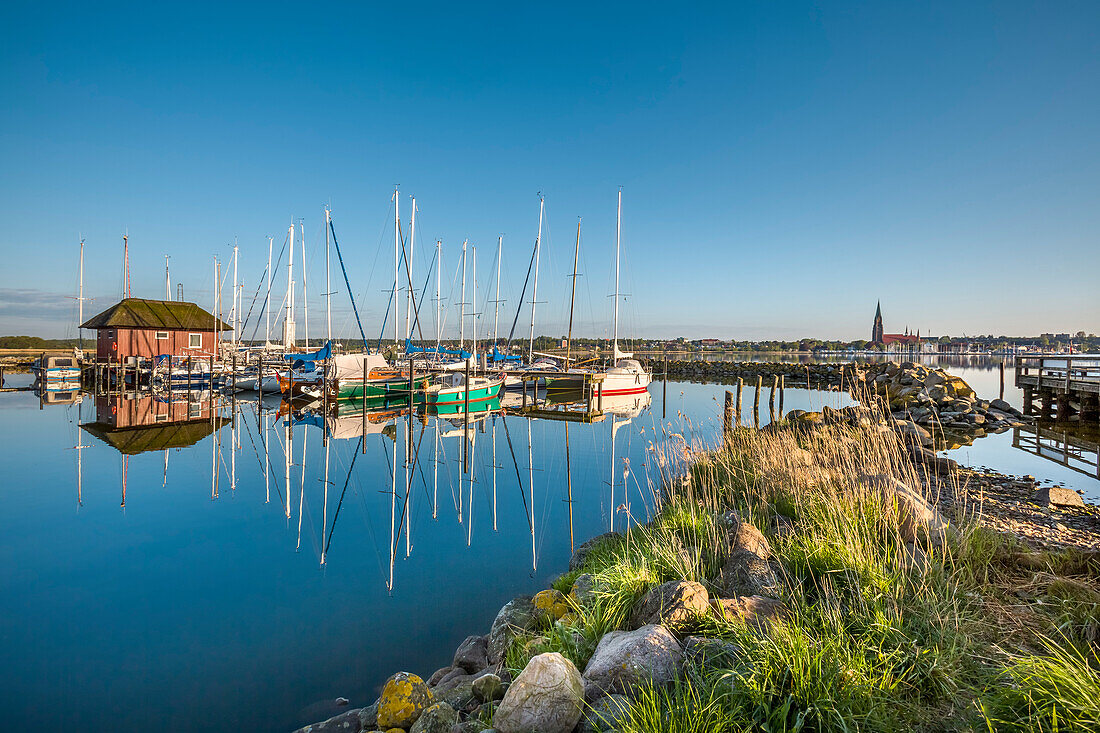 View over Schlei fjord towards Schleswig, Baltic coast, Schleswig-Holstein, Germany