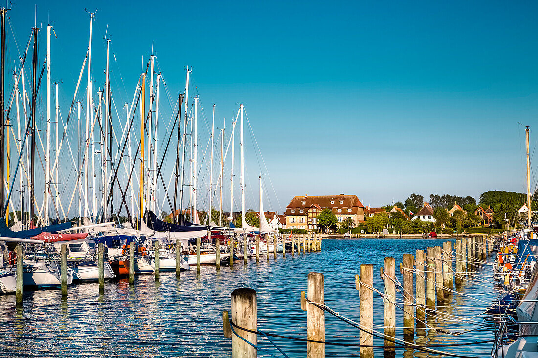 Marina in Arnis, Schlei fjord, Baltic coast, Schleswig-Holstein, Germany