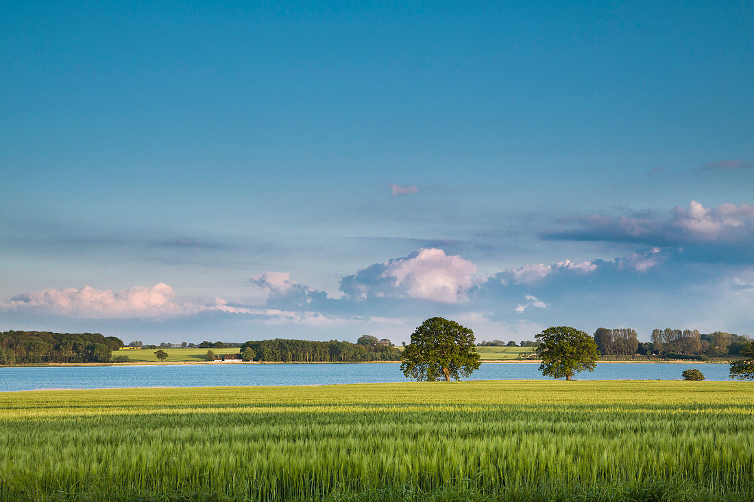 Schlei fjord, Baltic coast, Schleswig-Holstein, Germany