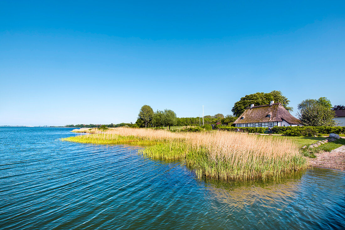 Thatched house along the Schlei, Sieseby, Schlei fjord, Baltic coast, Schleswig-Holstein, Germany