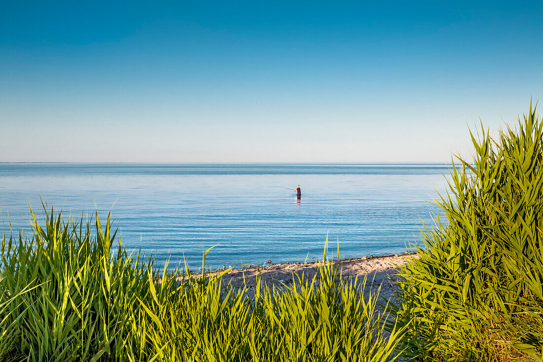 Angler im Meer, Falshöft, Angeln, Ostsee, Schleswig-Holstein, Deutschland