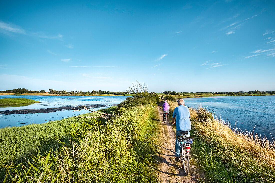 Cyclists, Holnis peninsula, Flensburg fjord, Baltic coast, Schleswig-Holstein, Germany