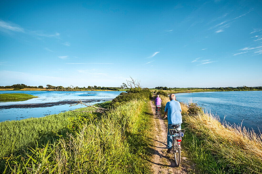 Radfahrer am Holnis Noor, Halbinsel Holnis, Flensburger Förde, Angeln, Ostsee, Schleswig-Holstein, Deutschland