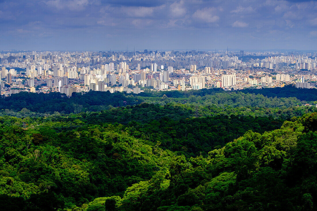 Central Sao Paulo from the rainforest of the Serra da Cantareira State Park, Brazil, South America