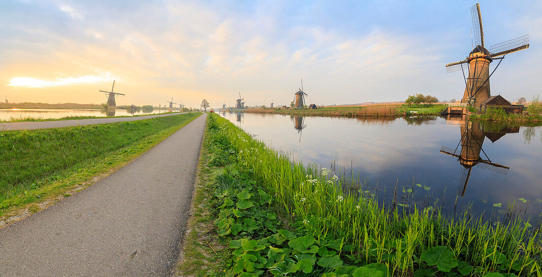 Panorama der typischen Windmühlen in den Kanälen im Morgengrauen, Kinderdijk, UNESCO-Weltkulturerbe, Molenwaard, Südholland, Niederlande, Europa