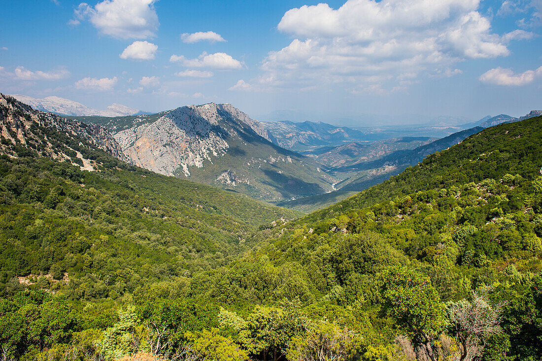 Robustes Innere der Ostküste von Sardinien, Italien, Europa