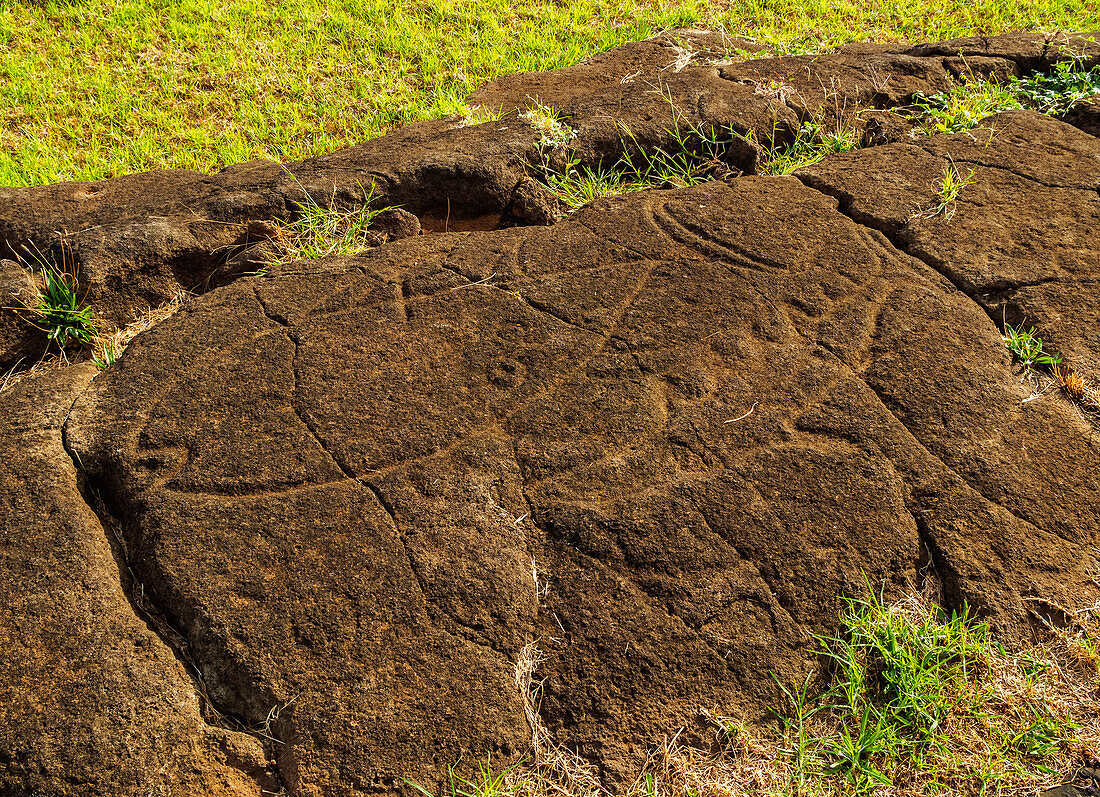 Petroglyphen in Papa Vaka, Rapa Nui Nationalpark, UNESCO Weltkulturerbe, Osterinsel, Chile, Südamerika