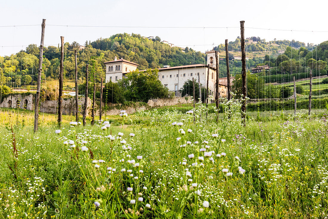 Das alte Kloster von Astino umgeben von Hopfenfeldern Longuelo, Provinz Bergamo, Lombardei, Italien, Europa