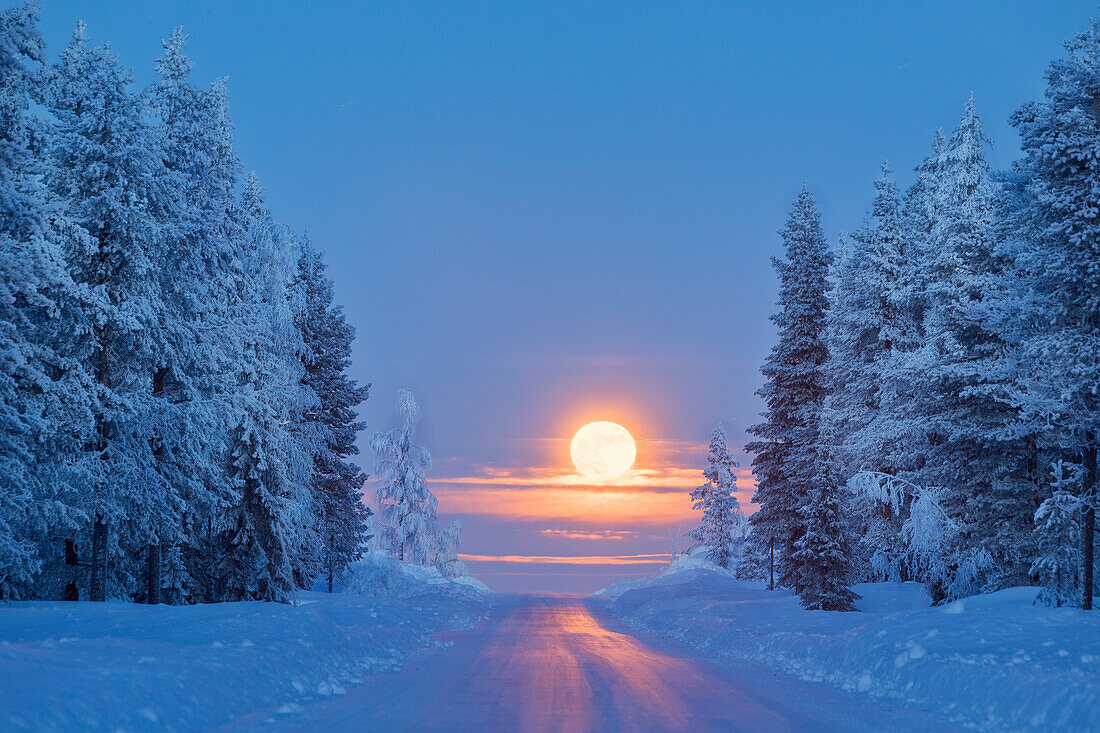 Lunar sunrise on the snowy forest, Kiruna, Norrbotten County, Lapland, Sweden