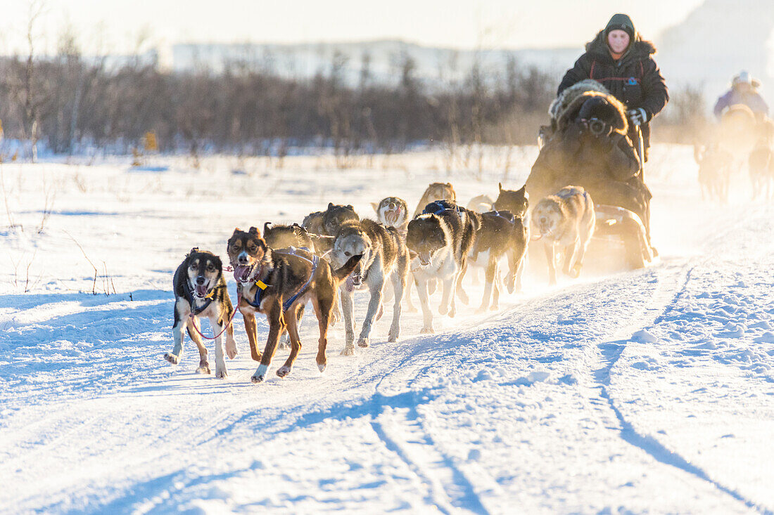 Hundeschlitten in der verschneiten Landschaft von Kiruna, Norrbotten, Lappland, Schweden