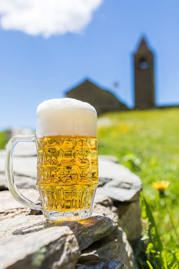 Beer mug, San Romerio Alp, Brusio, Canton of Graubünden, Poschiavo valley, Switzerland