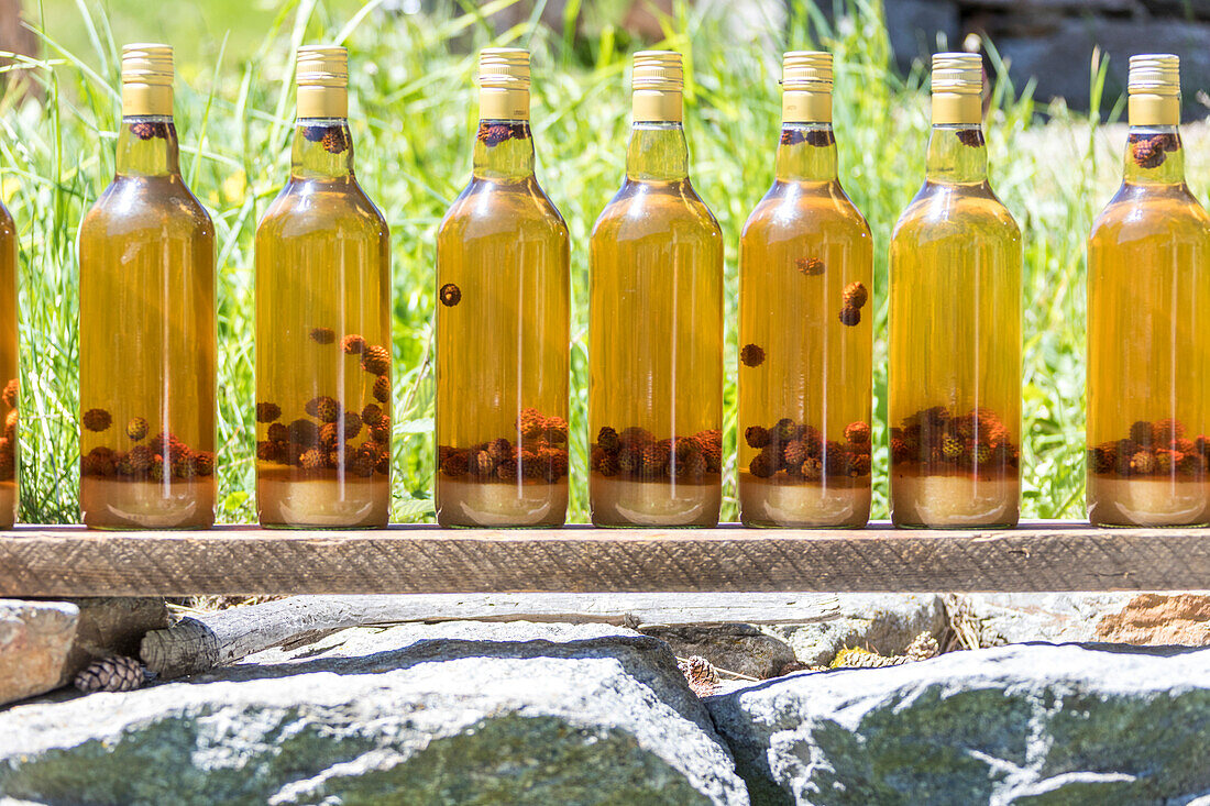 Bottles of typical liquor called grappa, San Romerio Alp, Brusio, Canton of Graubünden, Poschiavo valley, Switzerland