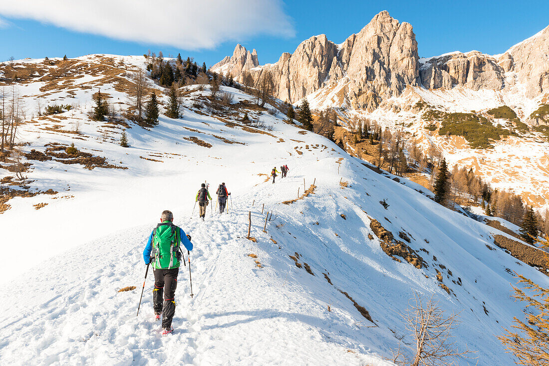 hikers towards Prendèra alp Europe, Italy, Veneto region, Belluno province, Borca Cadore district