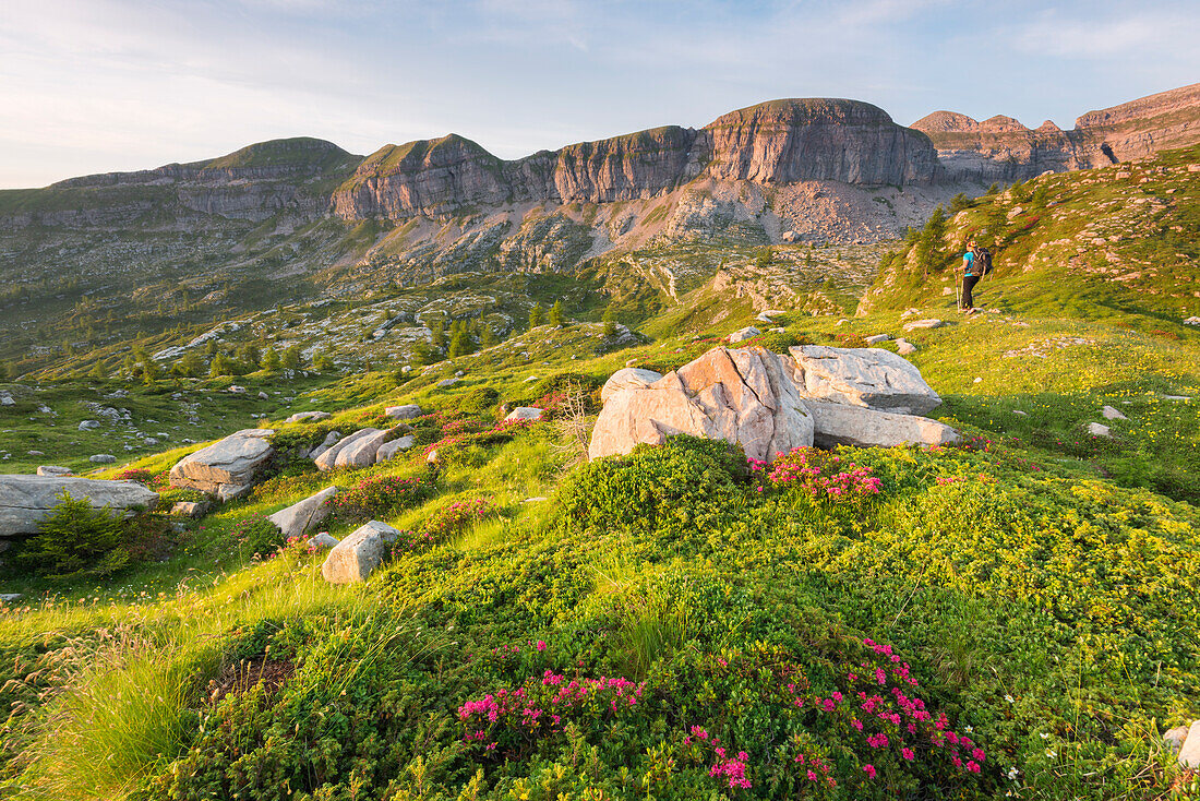 Nana Valley and its flowered garden Europe, Italy, Trentino Alto Adige, Non Valley, Nana vallay, Trento district, Cles municipality