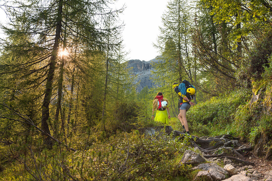 Path Mounts Toward Tuckett Refuge Europe, Italy, Trentino region, Trento district, Vallesinella, Brenta Dolomites