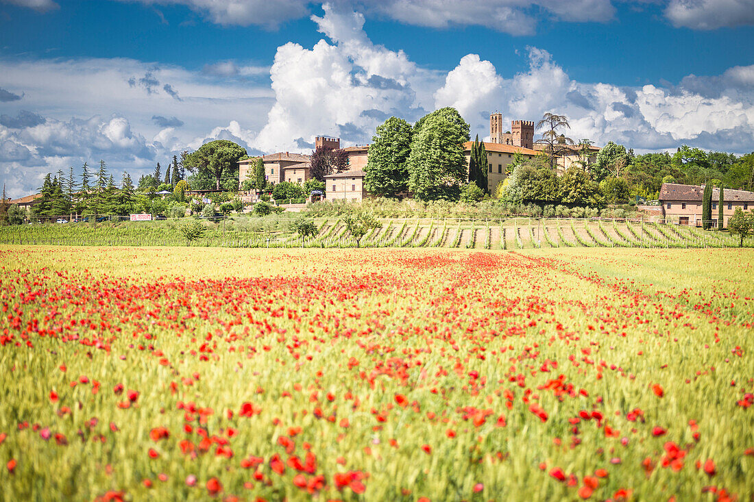 Typisches, kleines Dorf zwischen den Hügeln der Toskana, Siena Contryside, Toskana, Italien