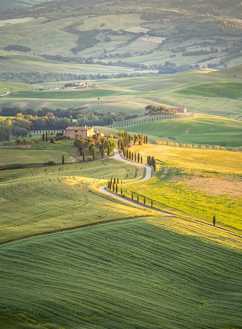 The green hills of Val d'Orcia, Tuscany, Italy