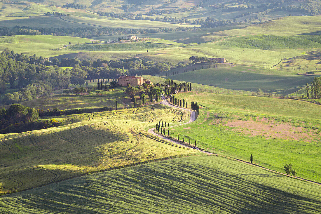 Der grüne Hügel des Val d'Orcia, Toskana, Italien