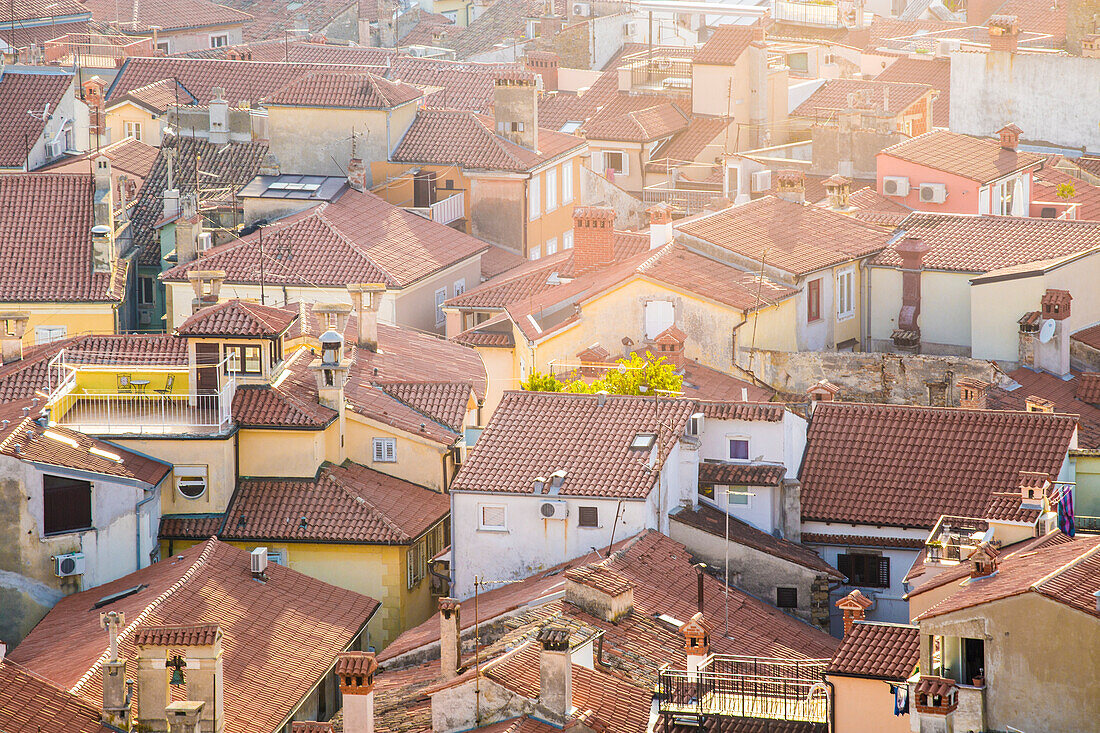 Piran, Slowenien Istrien, Slowenien, Erhöhter Blick auf die Dächer der Stadt
