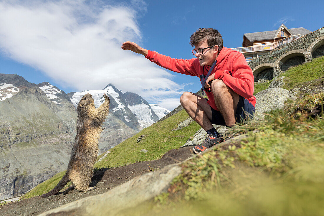 Mann mit einem alpinen Murmeltier vor Großglockner, Nationalpark Hohe Tauern, Kärnten, Österreich