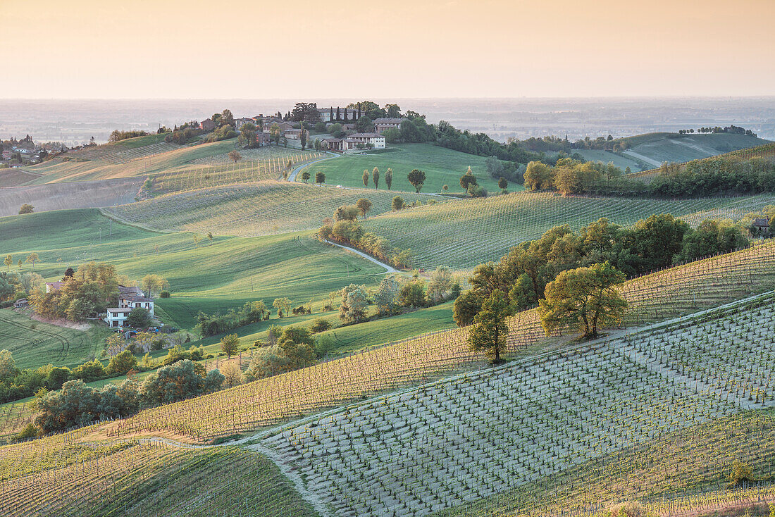 Oltrepo Pavese, Province of Pavia, Lombardy, Italy.