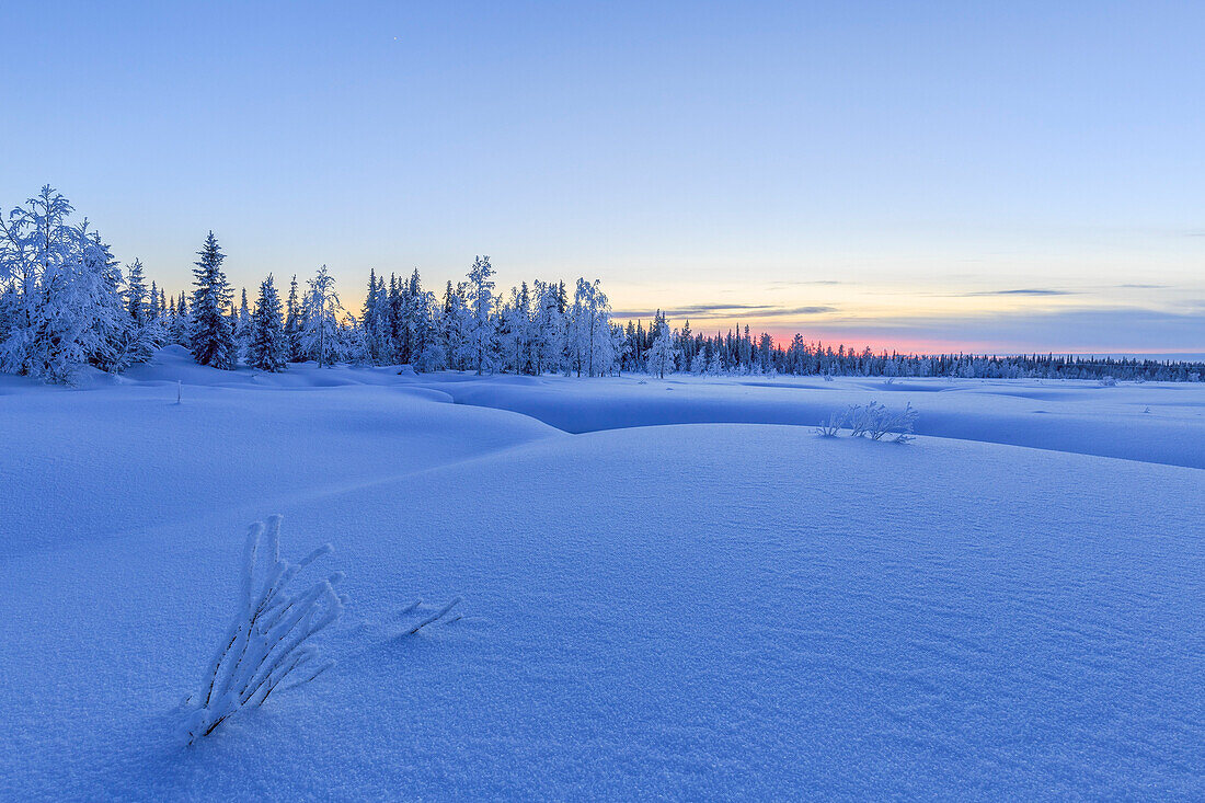 Sonnenuntergang über der Taiga an der Grenze zwischen Schweden und Finnland. Hukanmaa / Kitkiojoki, Norbottens Ian, Lappland, Schweden, Europa