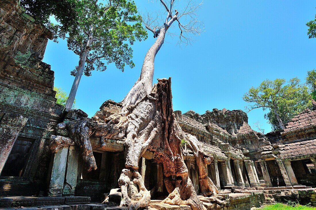 Kambodscha, Siem Reap, Ruinen des Bayon und Angkor Thom Tempel