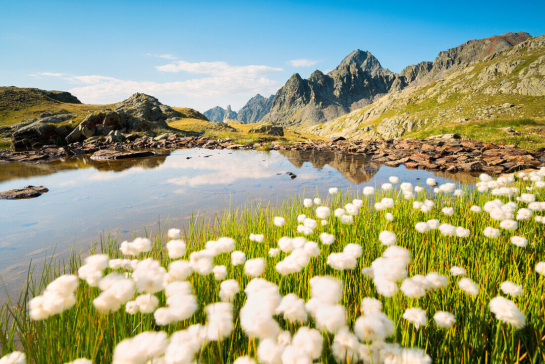 Pietrarossa lake in Stelvio National Park, Canè Valley, Lombardy district, Italy, Europe.