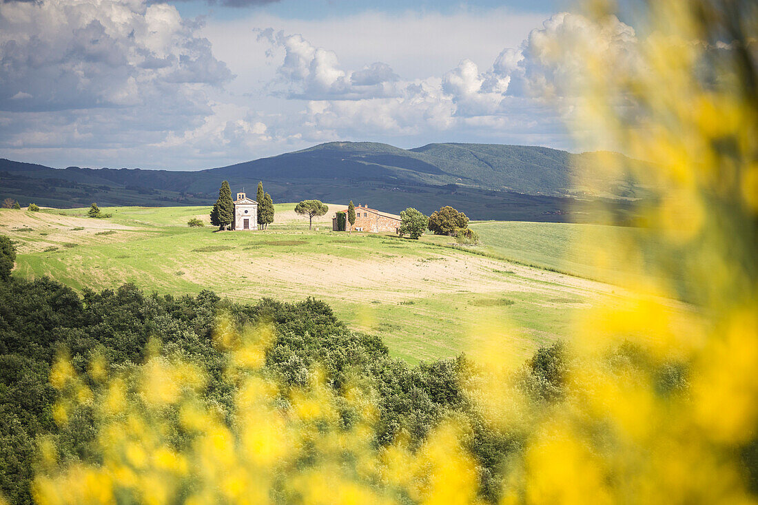 Vitaleta Kapelle unter Val d'Orcia Hügel, Provinz von Siena, Toskana, Italien