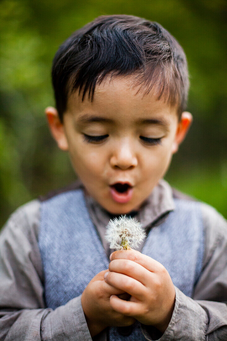 A 4 year old Japanese American boy wears a vest and blows dandelion seeds in Myre Island State Park, Minnesota.