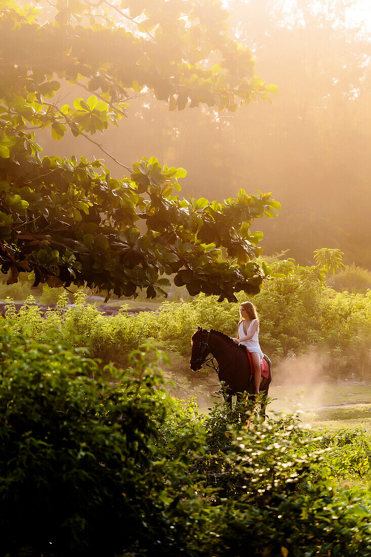 Young woman riding horse in scenery with trees and bushes at sunrise