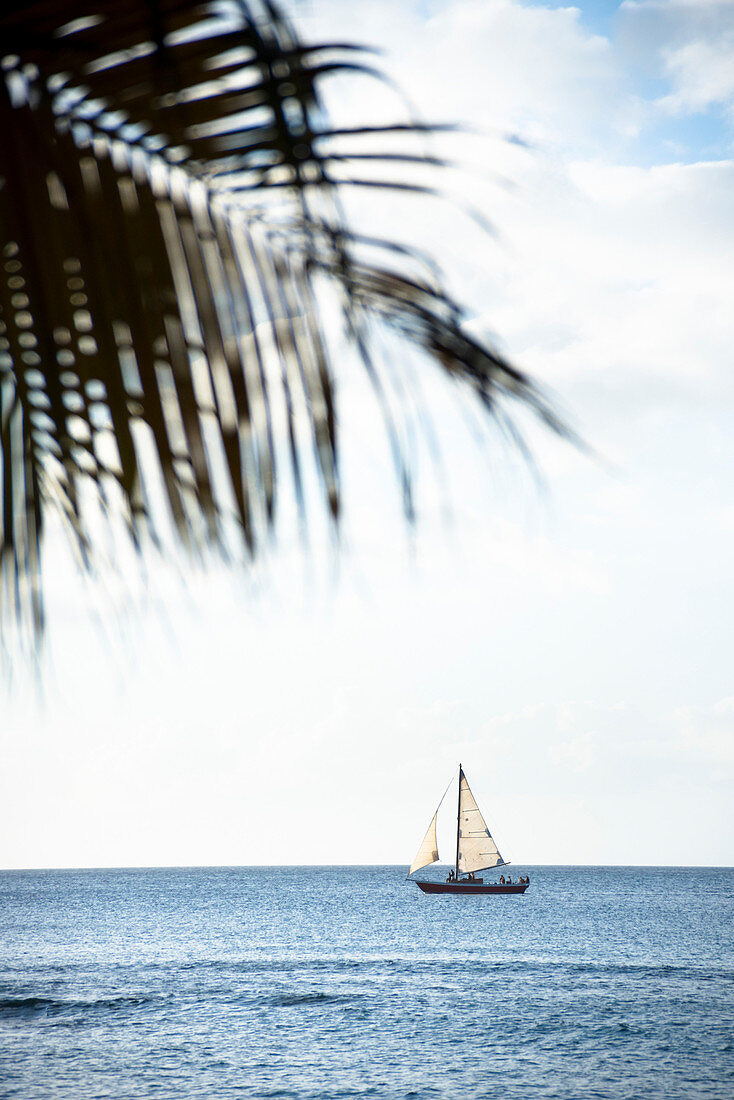 Sailing cruise through the Windward Islands of the Lesser Antilles of the Caribbean