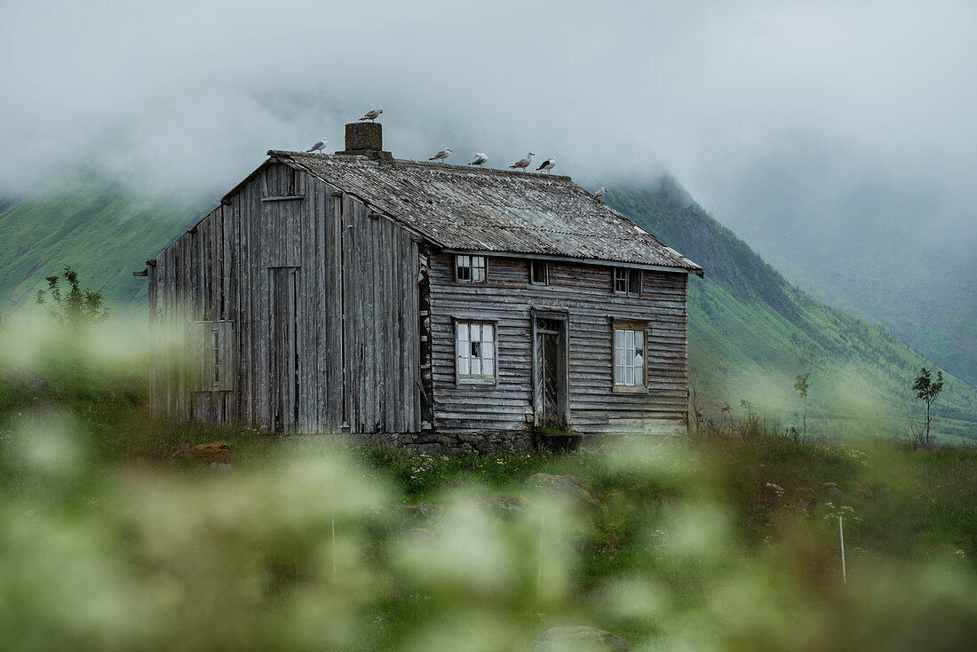 Verlassenes Haus, Vestvågøy, Lofoten Inseln, Norwegen