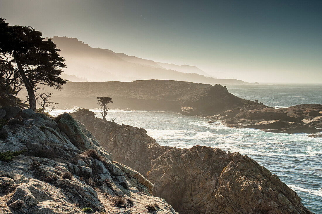 Morgensonne hebt Zypressen am Point Lobos hervor.