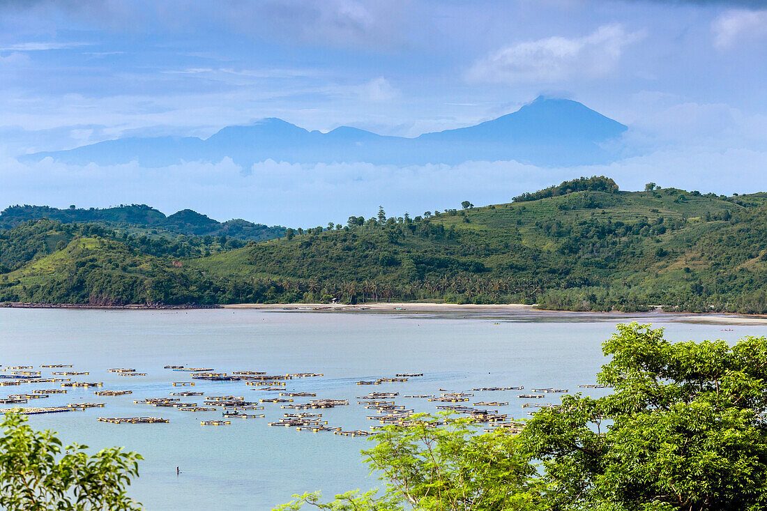 Scenery with hills, sea and Rinjani volcano in background