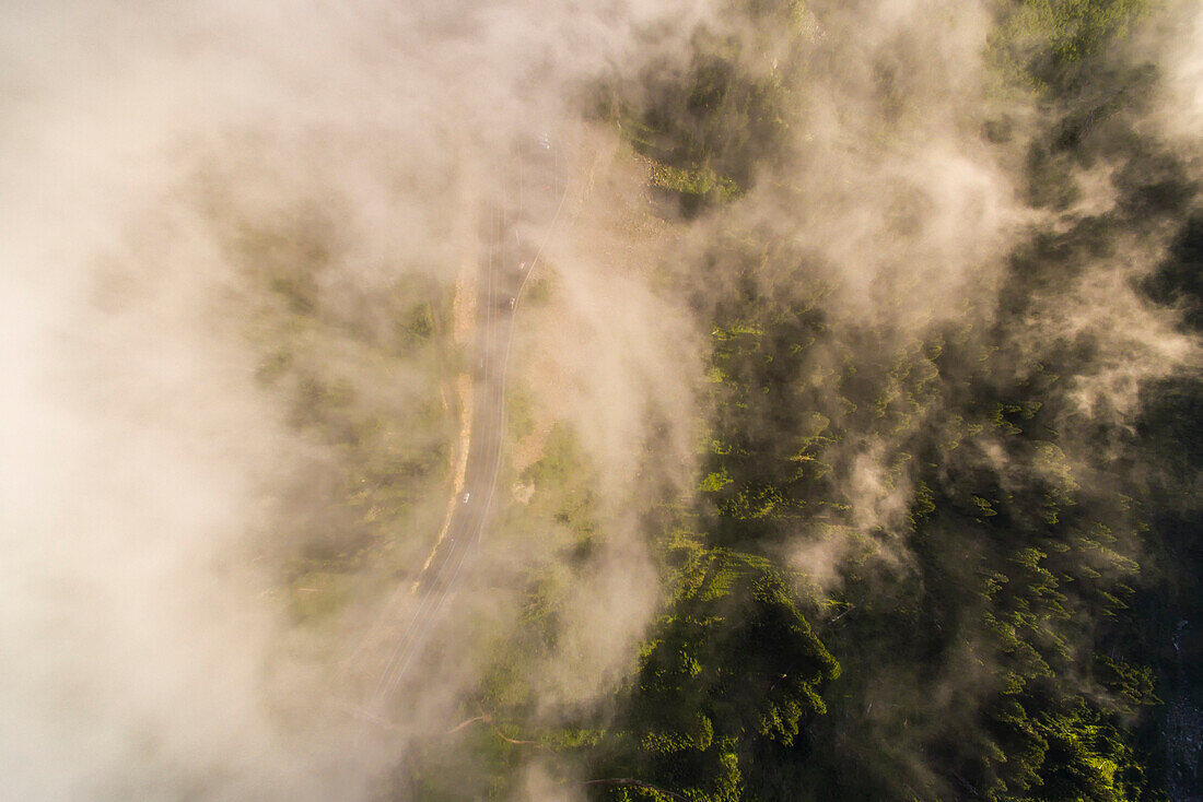 Wispy clouds obscure a forest seen from above