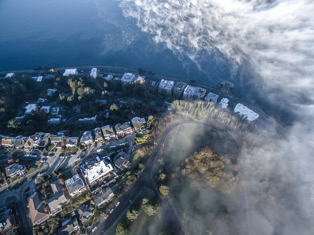 Aerial view of Seattle Shoreline