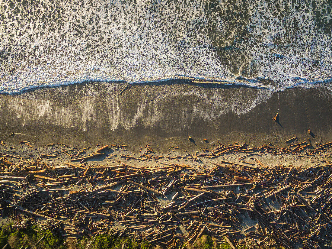 Piles of driftwood on the beach at Forks, Washington