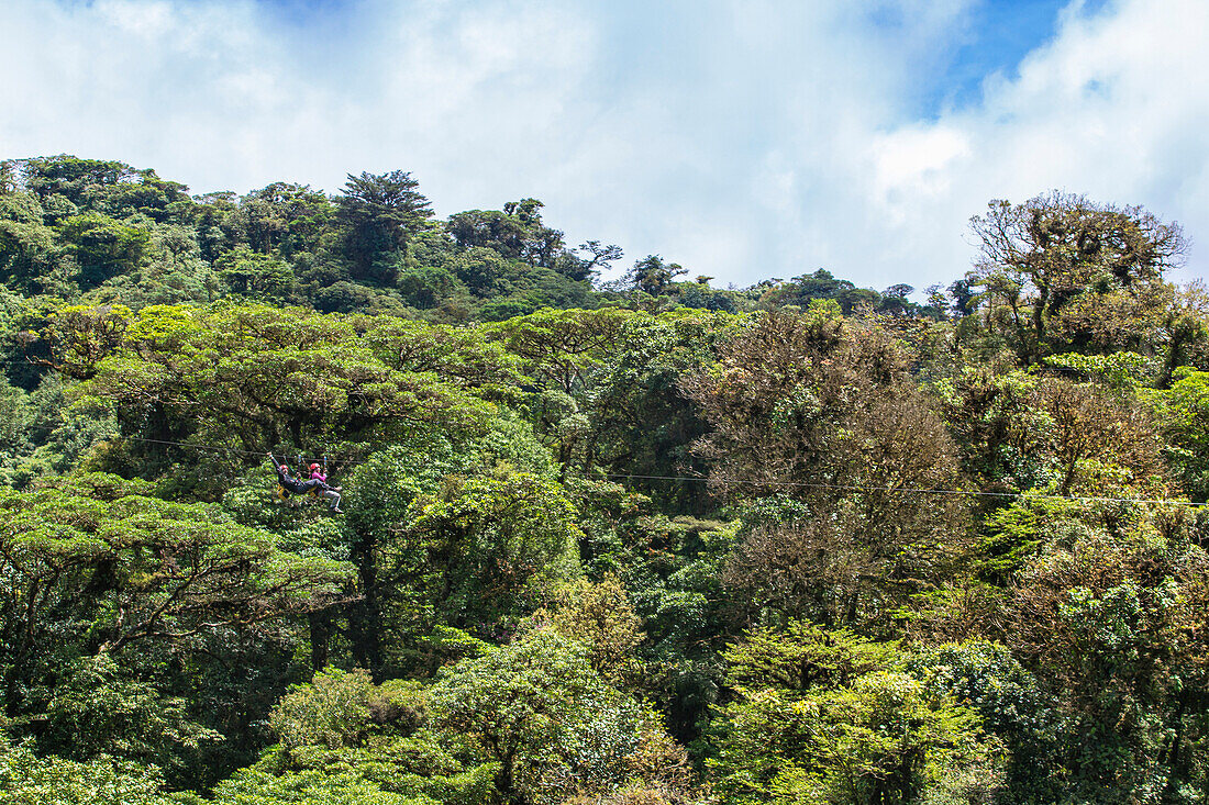 Two tourists takes a zip line tour though the Monteverde Cloud Forest in Costa Rica.