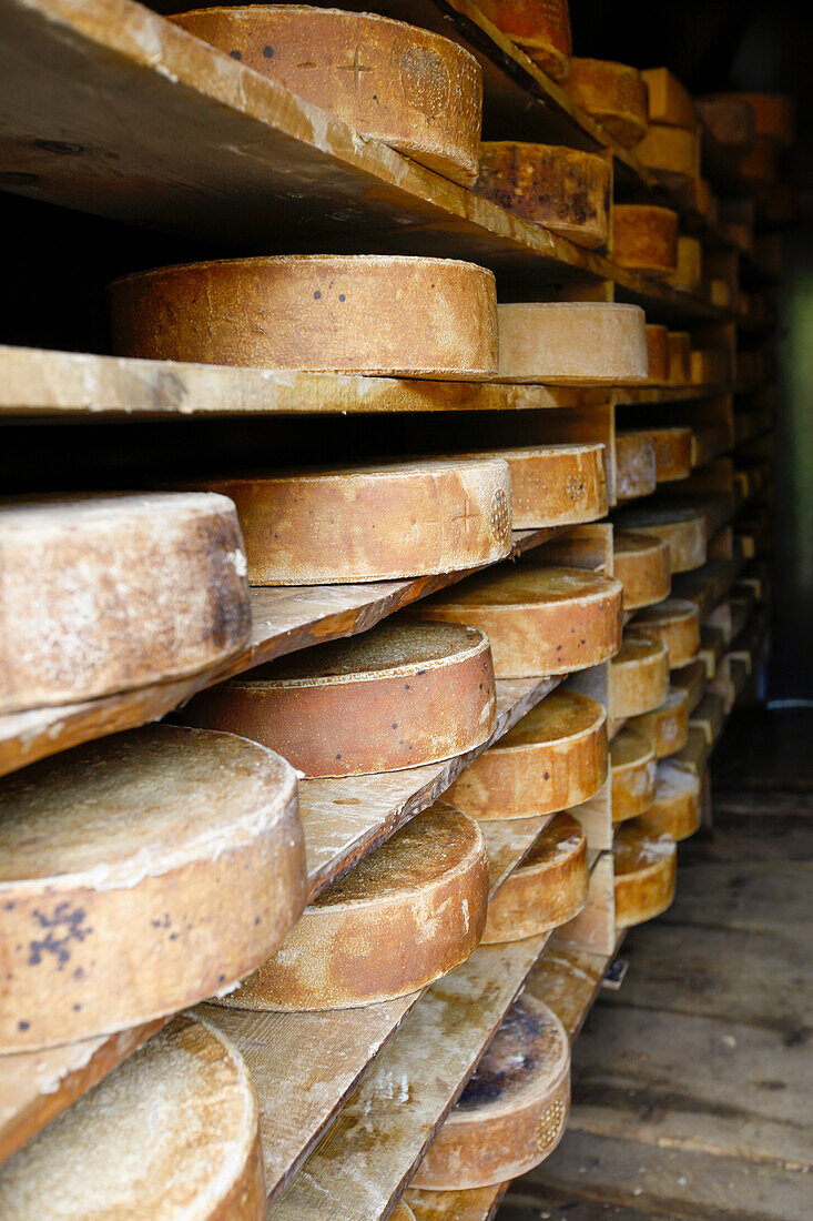 Schweizer Käse gestapelt in Bauernhof im Tal von Grindelwald, Berner Oberland, Schweiz