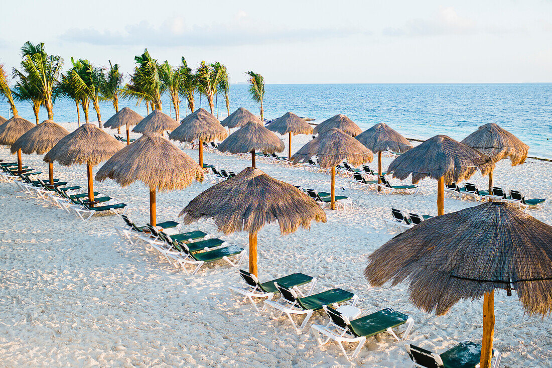 Tropical beach with palm trees, thatched umbrellas and lounge chairs, Cancun, Mexico