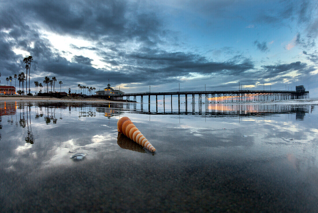 Shell am Strand bei Sonnenaufgang am Newport Pier, Newport Beach, Südkalifornien, USA