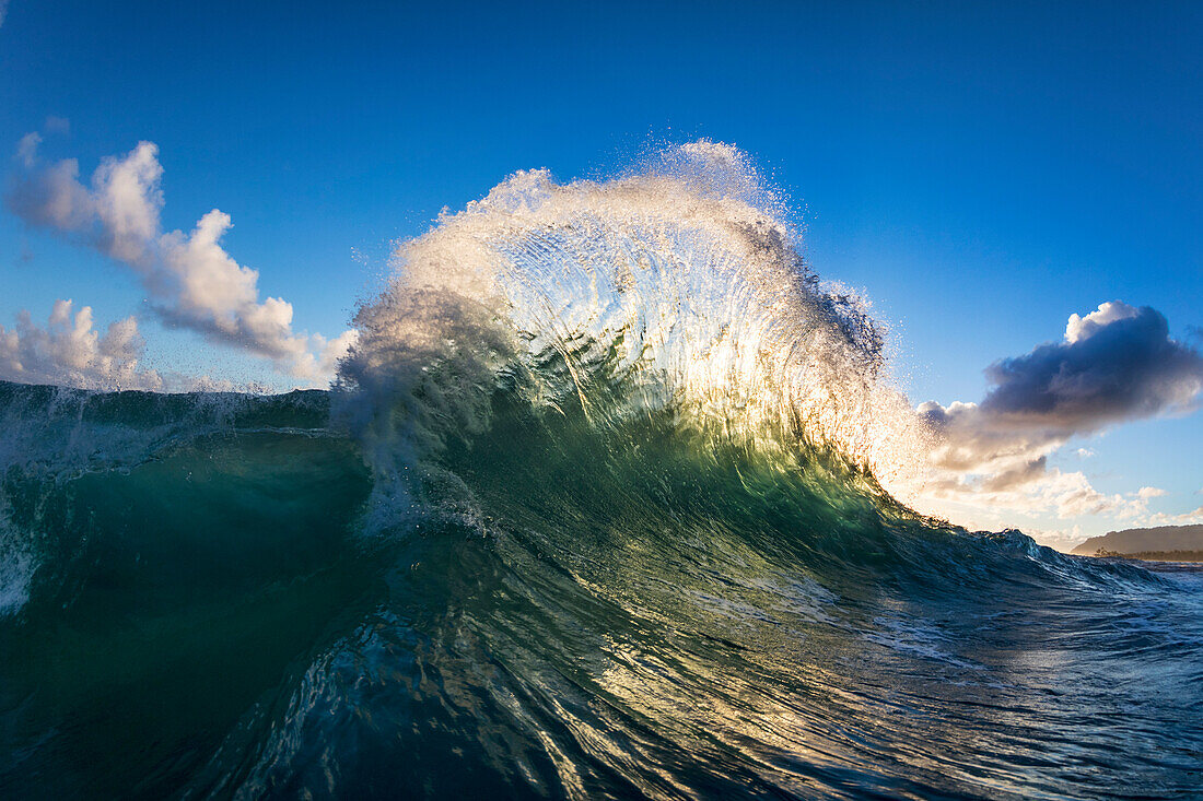 An ocean wave, breaking toward shore in the early morning Hawaiian light. East side of Oahu.