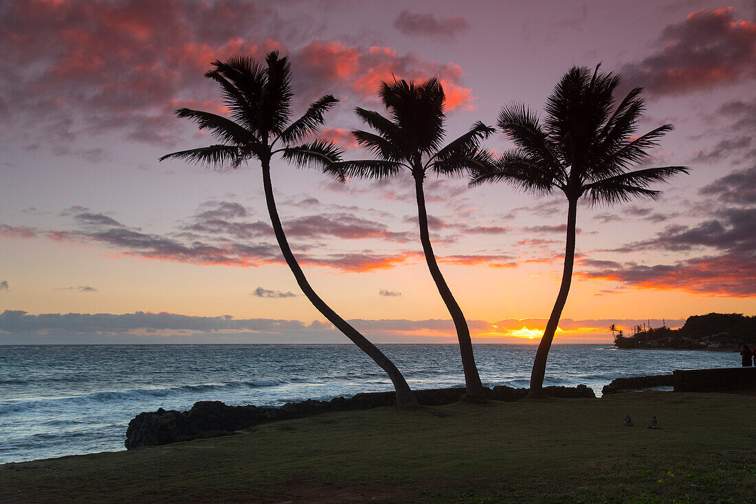 Eine silhouetted Ansicht von drei hohen Palmen während des Sonnenaufgangs entlang dem Strand bei Ka? A? Awa, O'ahu, Hawaii.
