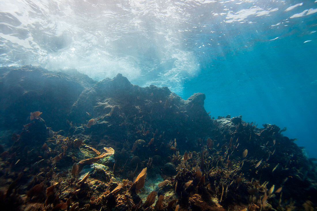 Bubbles and turbulent currents are seen underwater as waves break onto rocks and reef off Utila Island, Honduras.