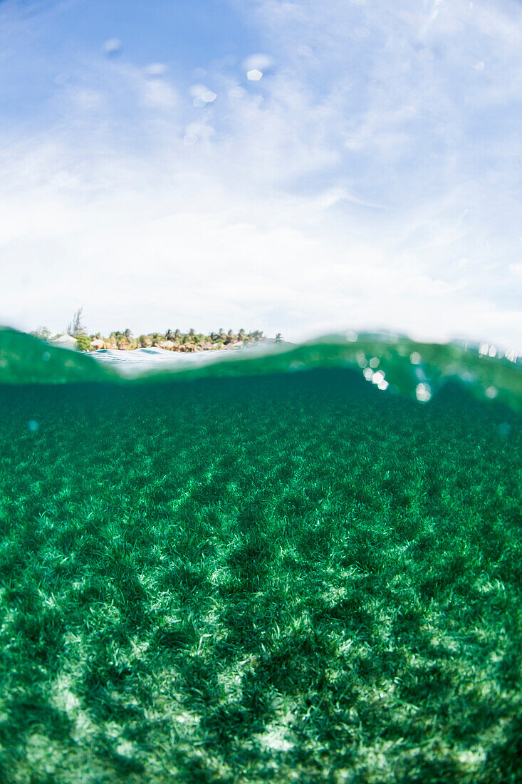 Ein Split-Level-Blick auf den Himmel über und Turtle-Gras unter Wasser vor der Küste von Roatan Island Riff, Honduras.