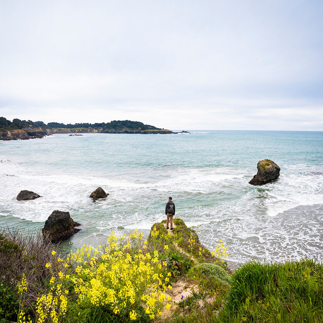 Rear view of man standing on promontory on coastline and looking at view of sea, Mendocino Headlands State Park, Mendocino County, California, USA